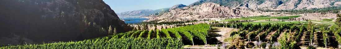 Arterra Wines Canada